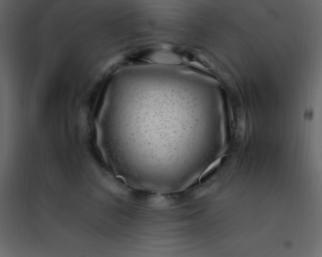 X0000094950616200712131624