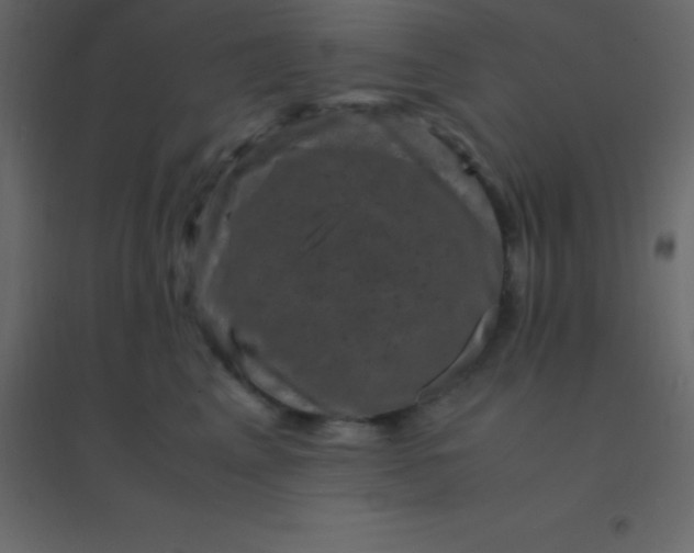 X0000094950617200712131624