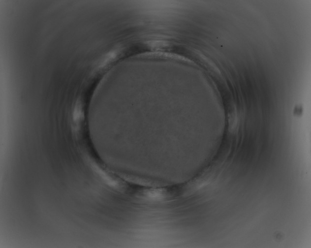 X0000094950618200712131623