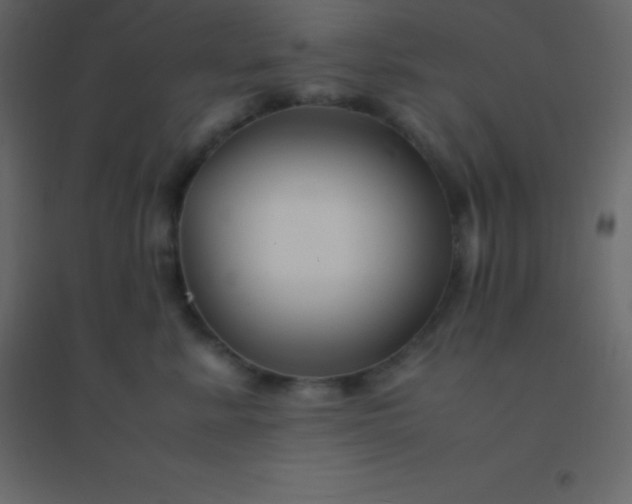 X0000094950619200712131623