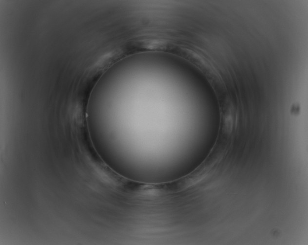 X0000094950620200712131623