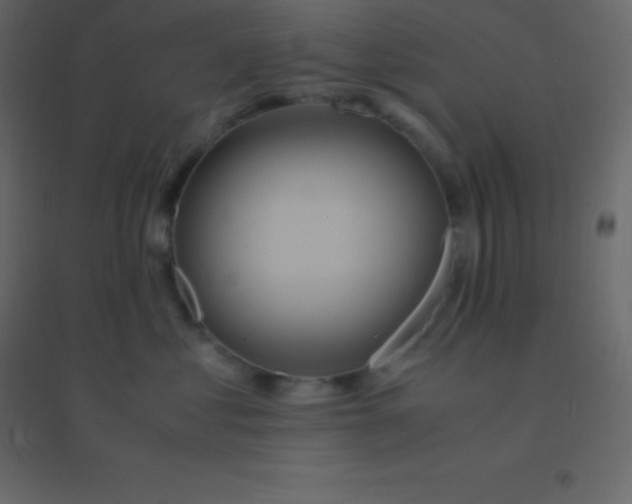 X0000094950621200712131623