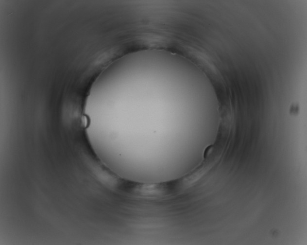 X0000094950622200712131623