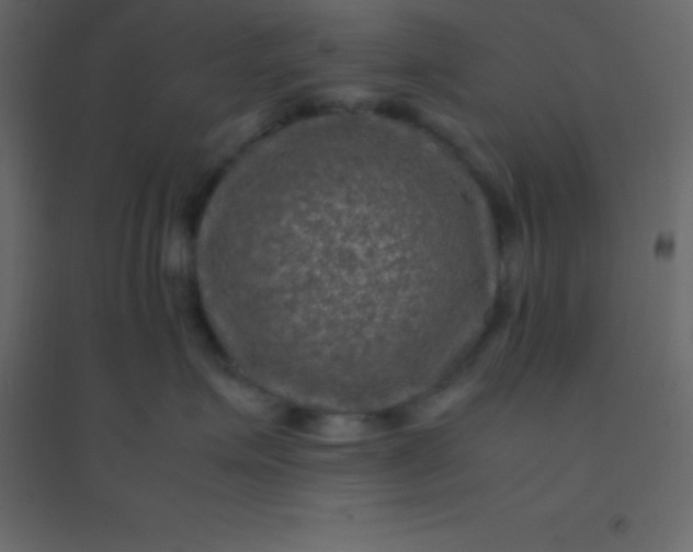 X0000094950623200712131623