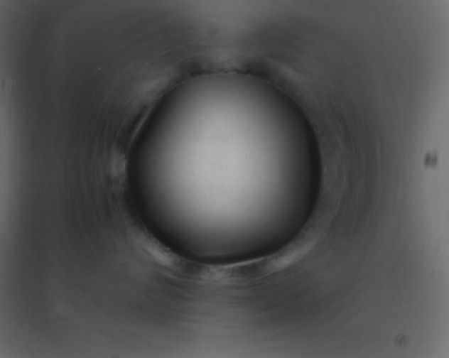 X0000094950624200712131623