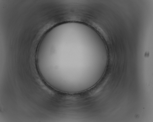 X0000094950625200712131623