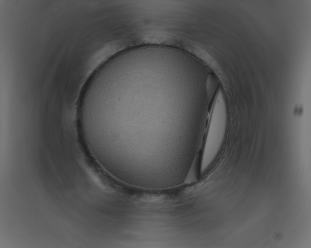 X0000094950626200712131623