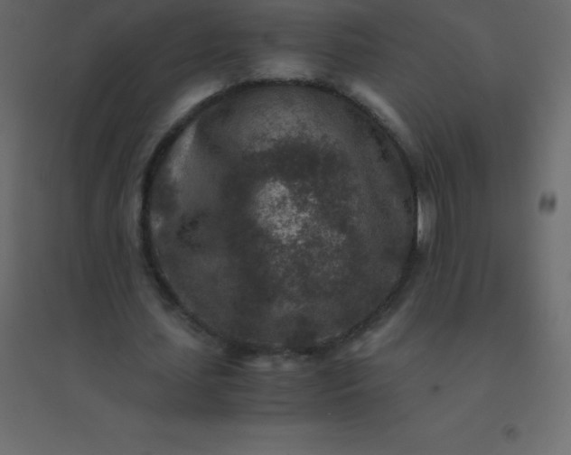 X0000094950627200712131623