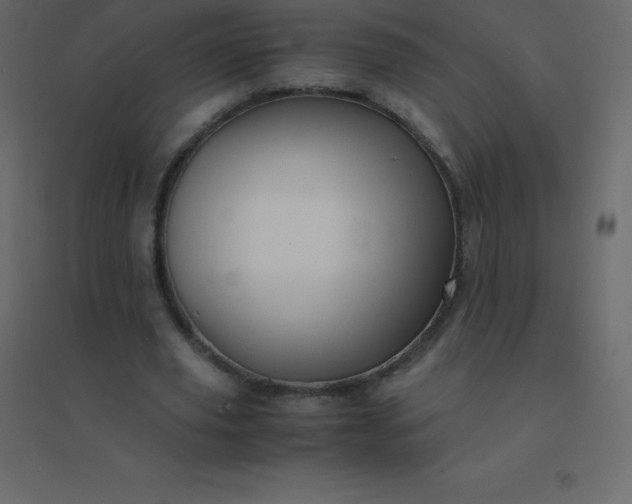 X0000094950629200712131623