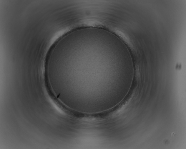 X0000094950630200712131623