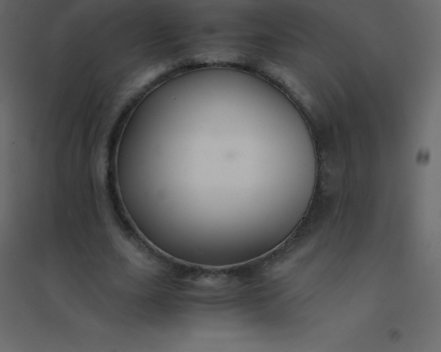 X0000094950631200712131623