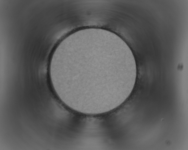 X0000094950632200712131623