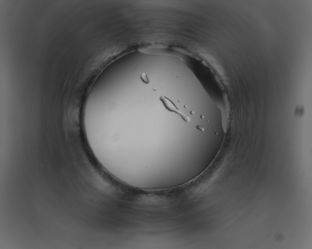 X0000094950633200712131623