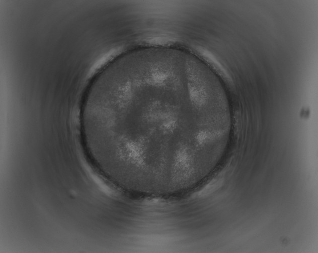 X0000094950634200712131623