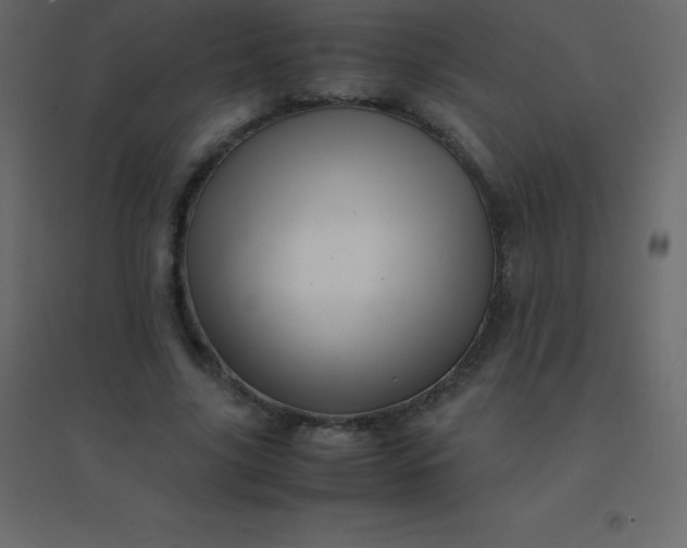 X0000094950635200712131623