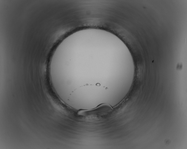 X0000094950636200712131623