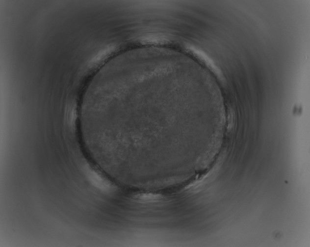 X0000094950637200712131623