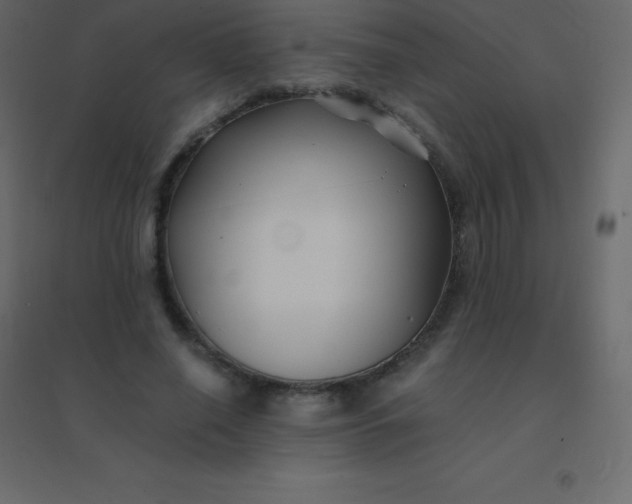 X0000094950638200712131623