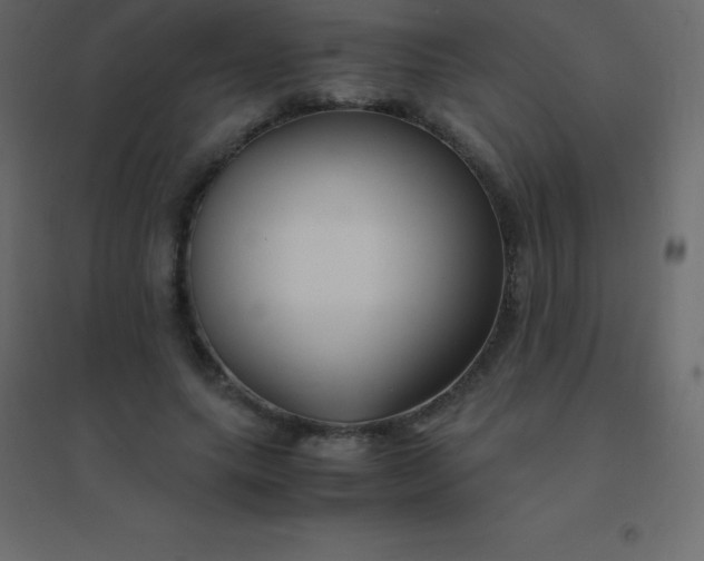 X0000094950639200712131623