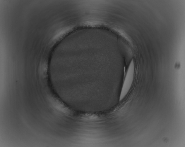 X0000094950640200712131623