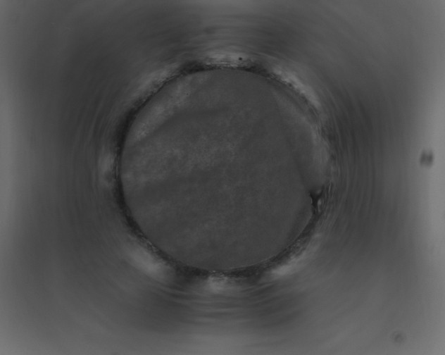 X0000094950641200712131623