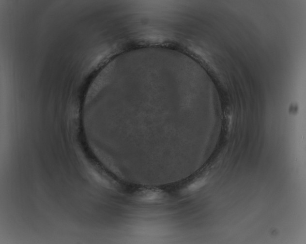 X0000094950642200712131623