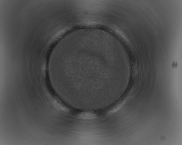 X0000094950644200712131623