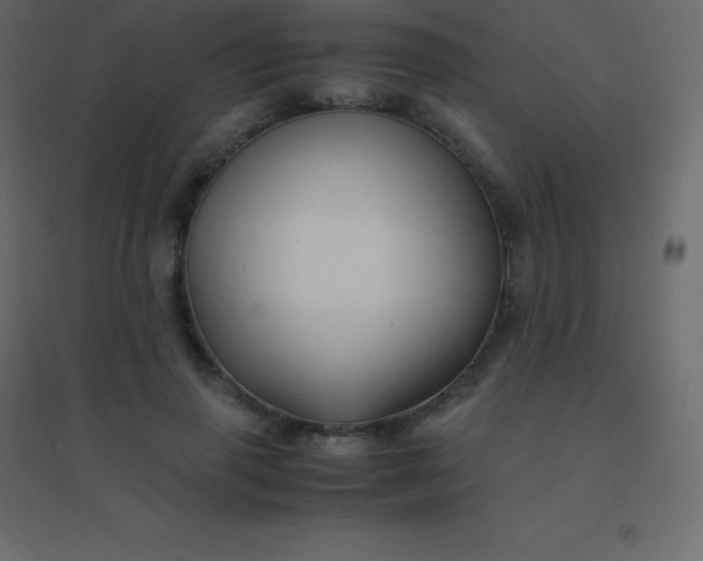 X0000094950645200712131623