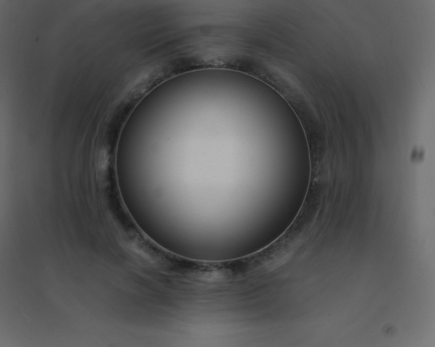 X0000094950646200712131623