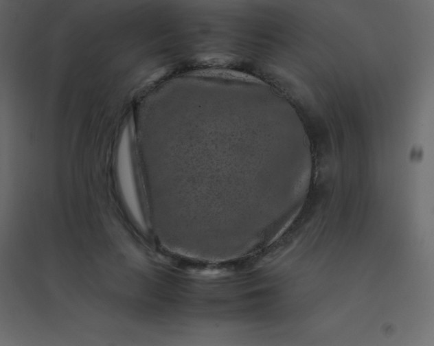 X0000094950647200712131623