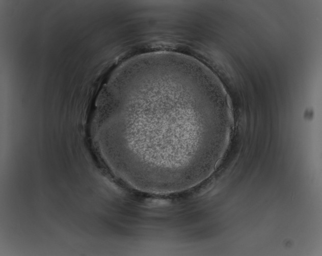 X0000094950649200712131623