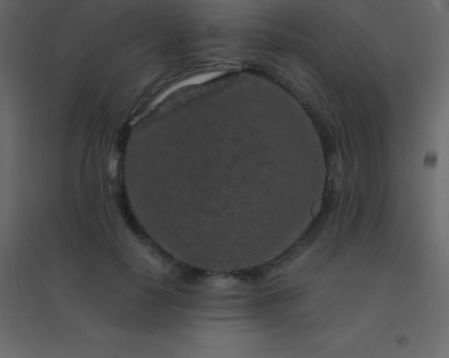 X0000094950650200712131623