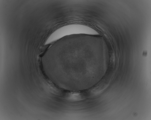 X0000094950651200712131623