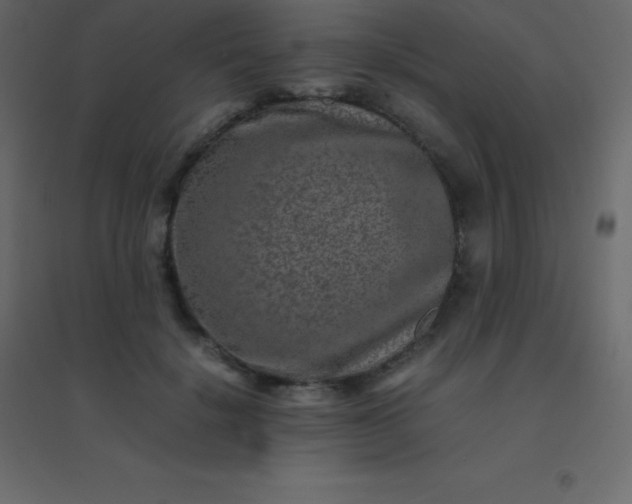 X0000094950652200712131623