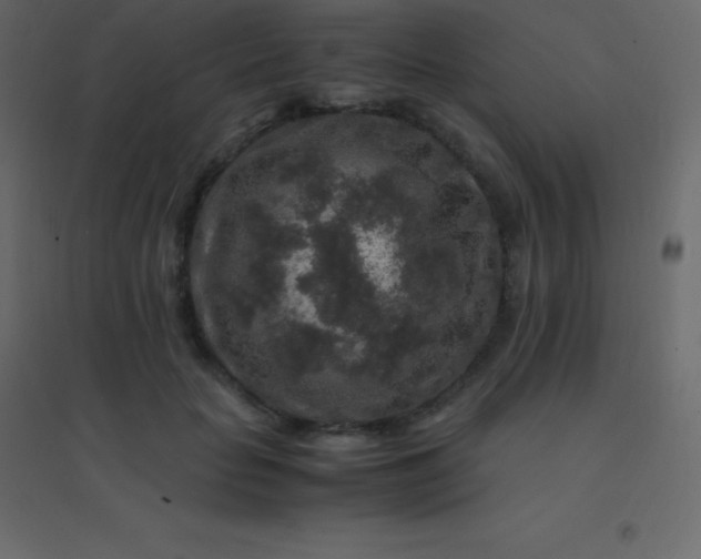 X0000094950653200712131623