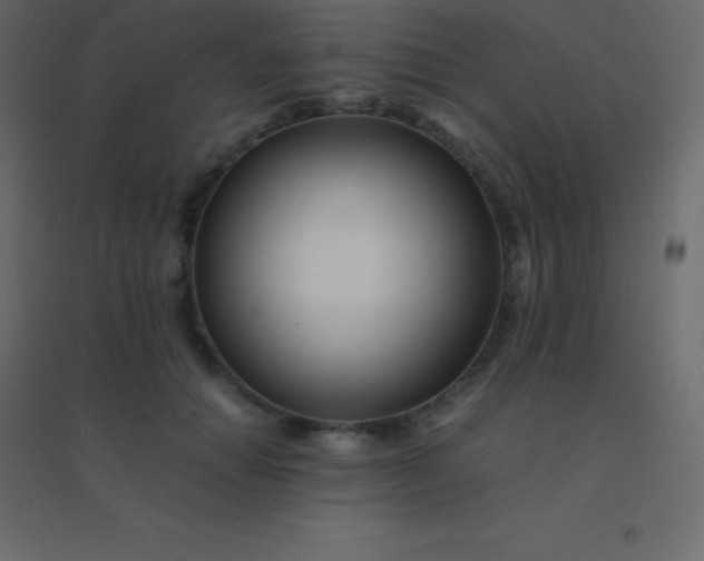 X0000094950654200712131623