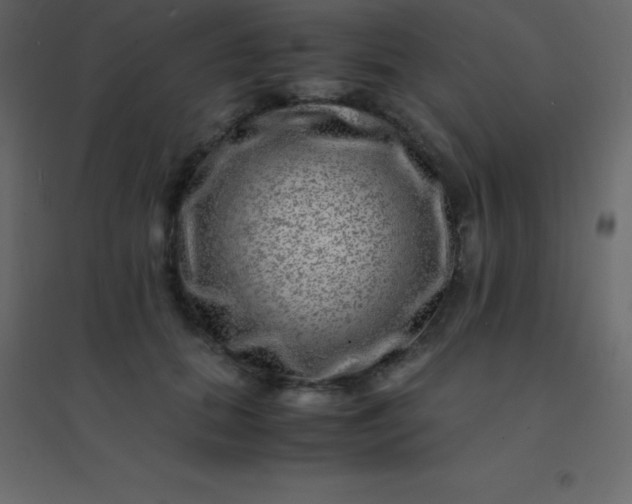 X0000094950655200712131623