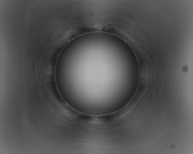 X0000094950656200712131623