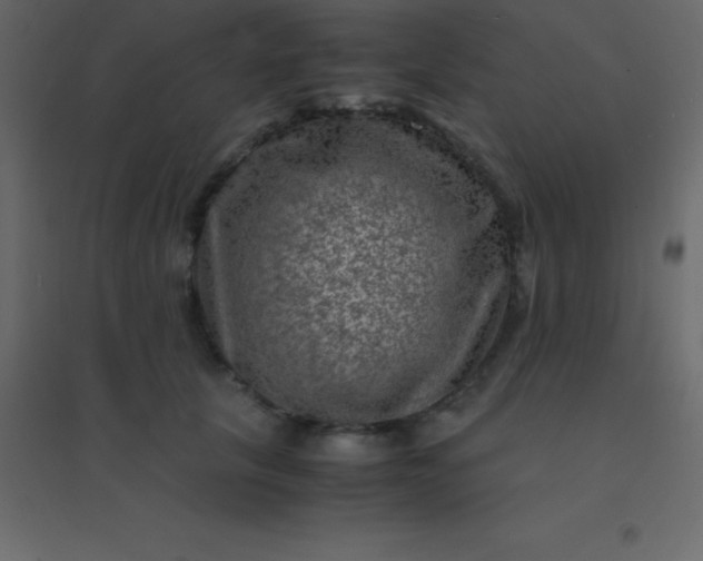 X0000094950657200712131623