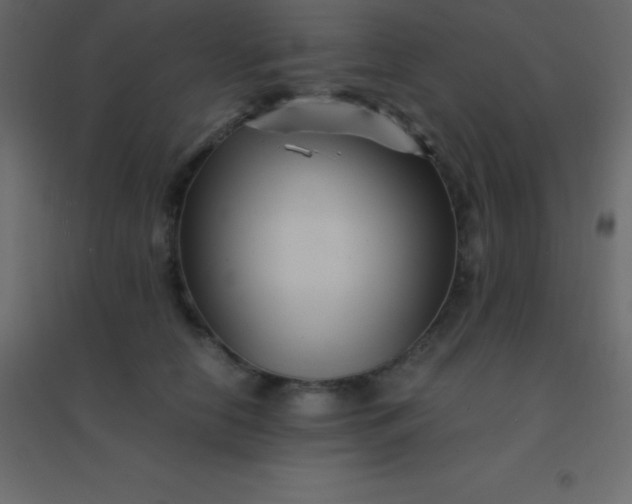 X0000094950658200712131623