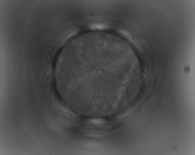 X0000094950659200712131623