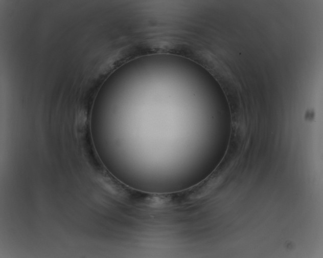 X0000094950660200712131623