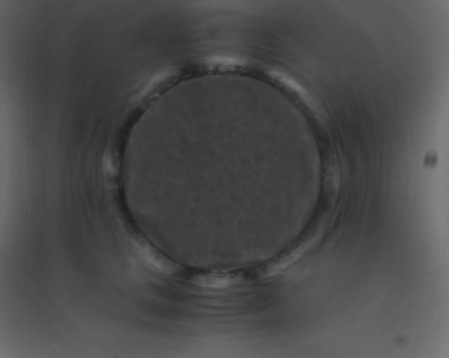 X0000094950661200712131623