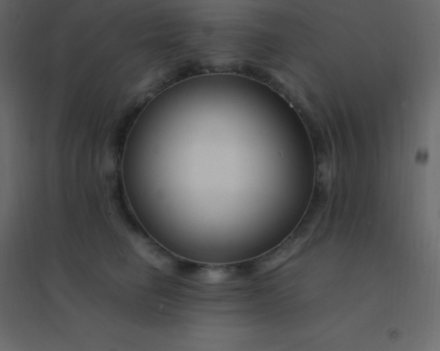 X0000094950662200712131623