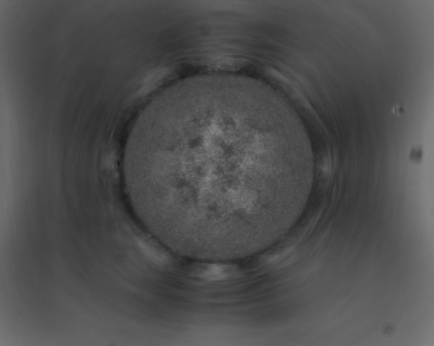 X0000094950663200712131623