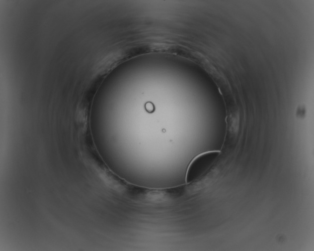 X0000094950666200712131623