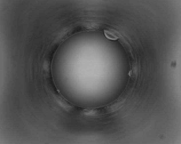 X0000094950667200712131623