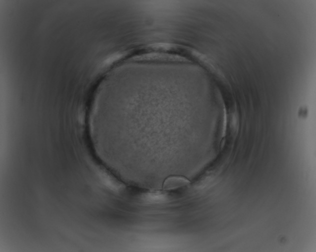 X0000094950668200712131623