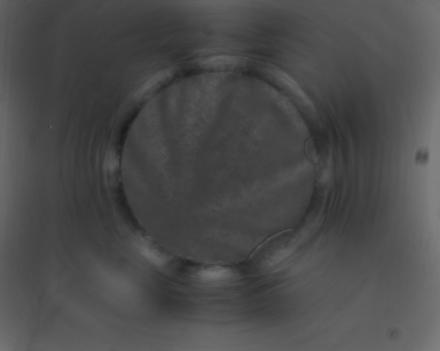 X0000094950669200712131623