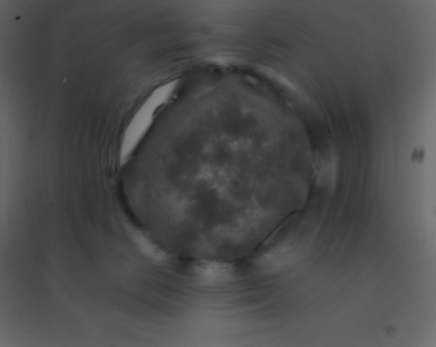 X0000094950670200712131623